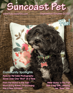 SUNCOAST-PET-SEPTEMBER-OCTOBER-2020-FALL-ISSUE-COVER-smaller-size