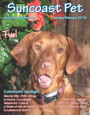 SUNCOAST-PET-JANUARY-FEBRUARY-2019-FINAL-COVER