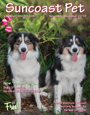 SUNCOAST-PET-NOVEMBER-DECEMBER-2019-HOLIDAY-ISSUE-COVER-smaller-size-NEW