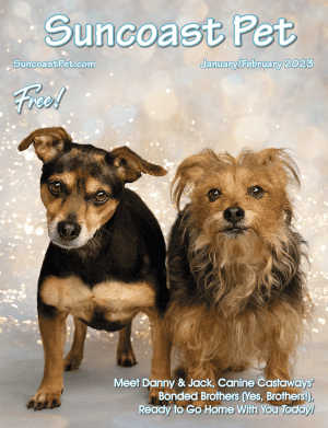 Suncoast-Pet-Jan-Feb-2023-COVER