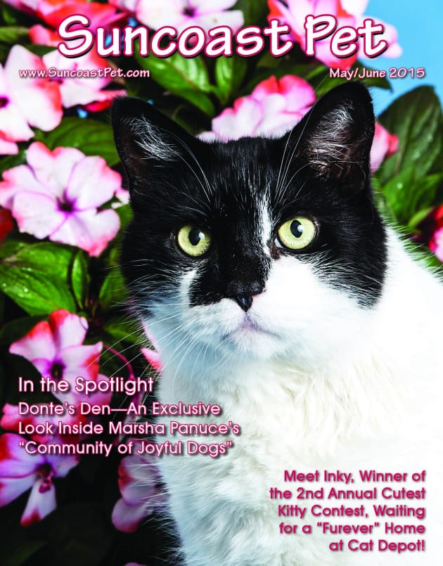 MAY-JUNE 2015 COVER FOR WEB SITE