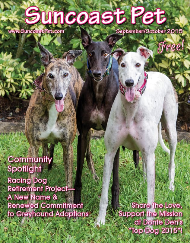 September/October 2015 Issue